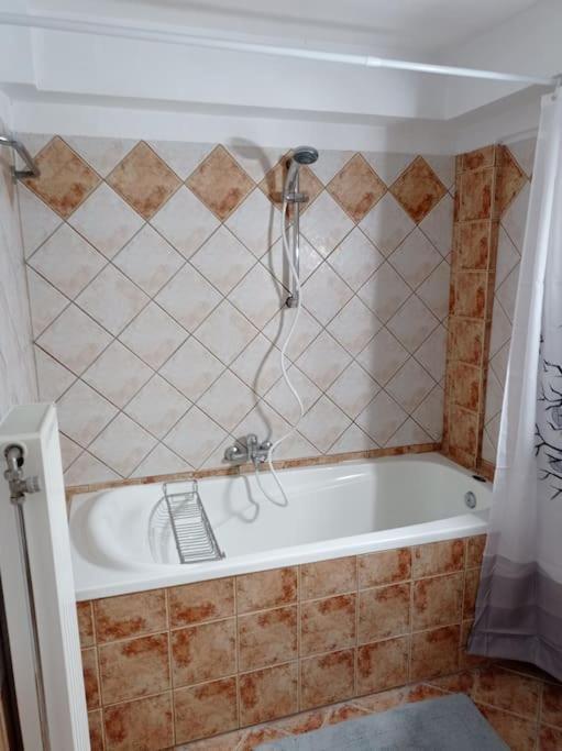 Trikala Alex House Διαμέρισμα Εξωτερικό φωτογραφία