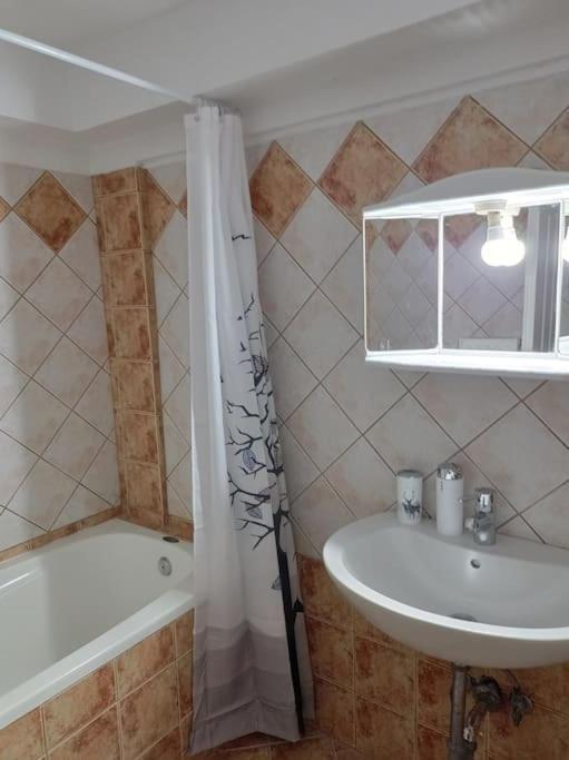 Trikala Alex House Διαμέρισμα Εξωτερικό φωτογραφία